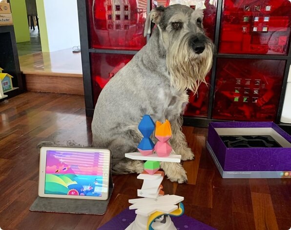 plinth and tower with dog